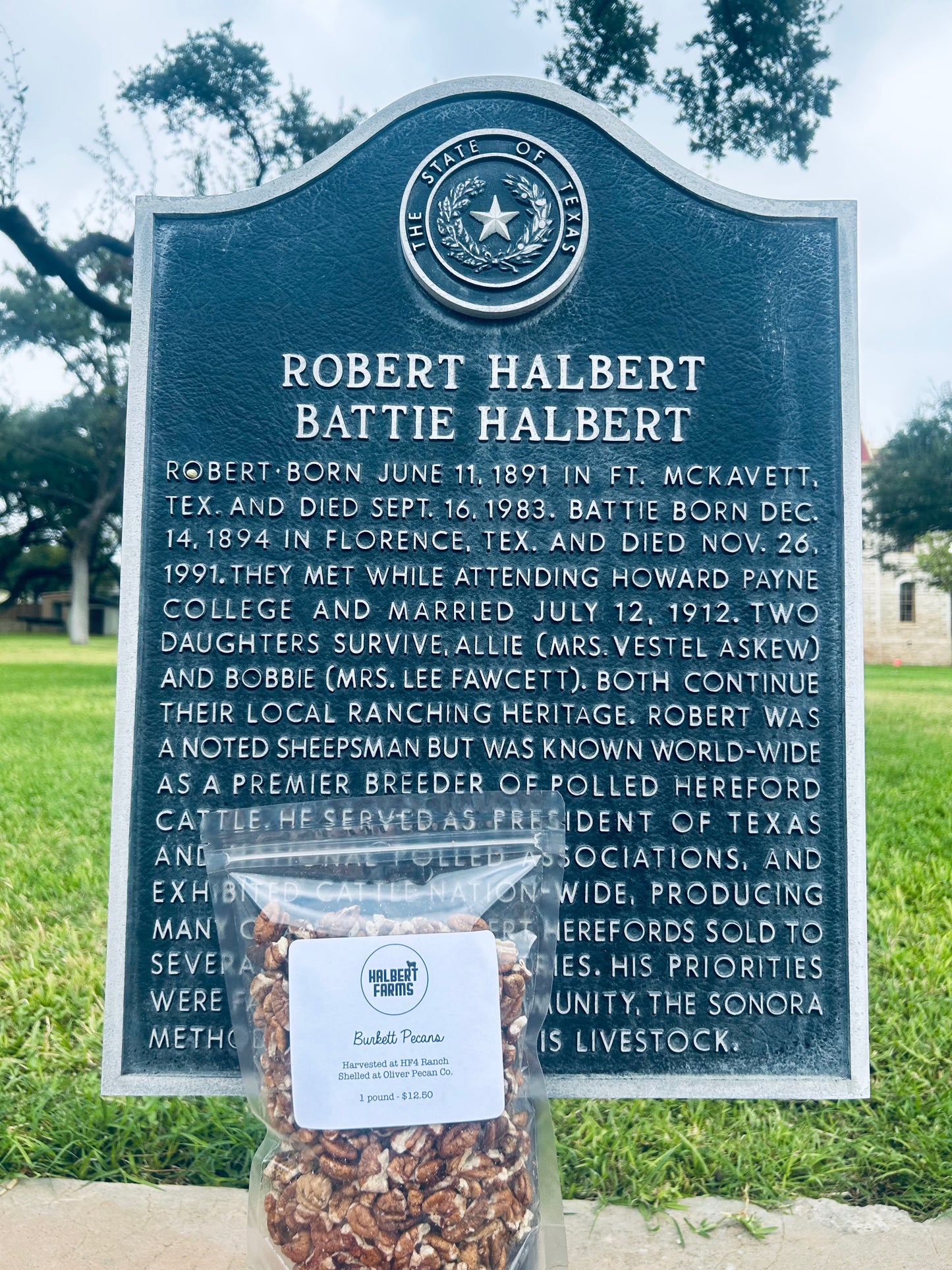 Halbert Farms Burkett Pecans